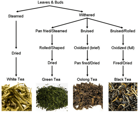 Facts about Tea