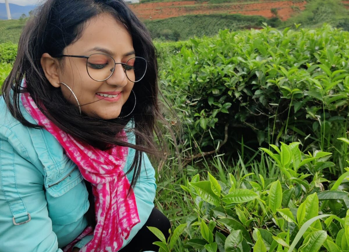 in a tea garden in vietnam