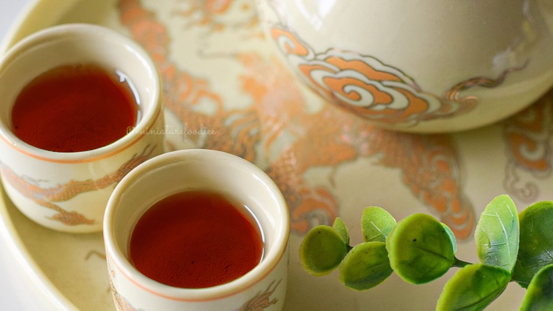 ALL ABOUT ROOIBOS TEA | ASHITA AGRAWAL