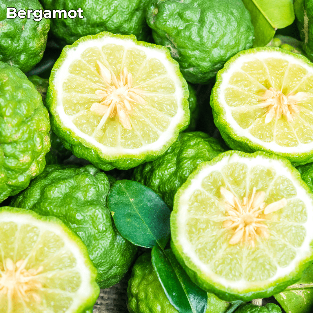 bergamot