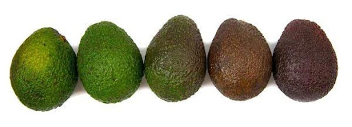Science of Avacado Ripening Image 1