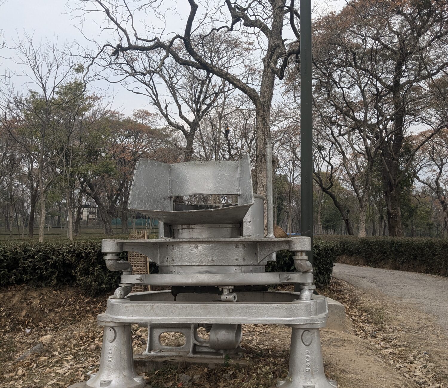 PXL 20250129 063932302