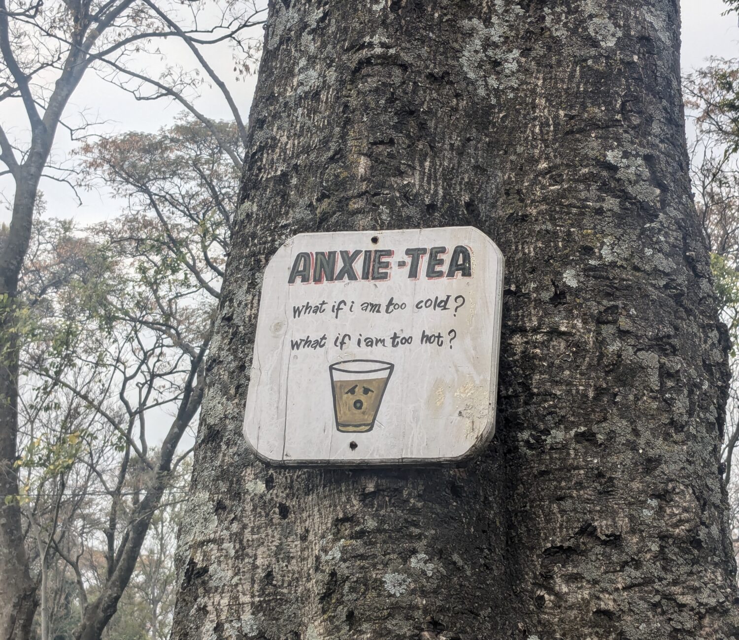 PXL 20250129 064320286