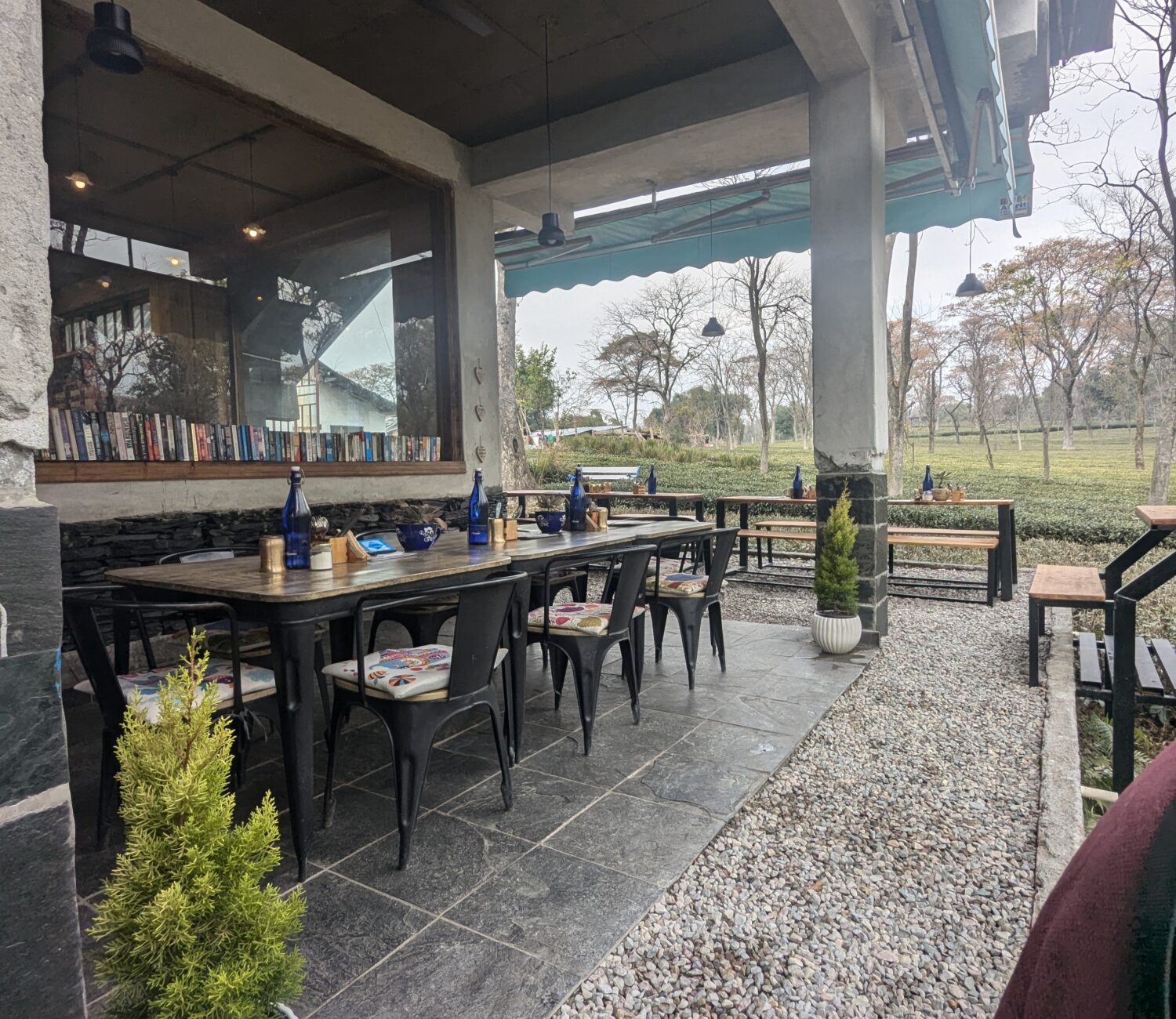 PXL 20250129 065952711