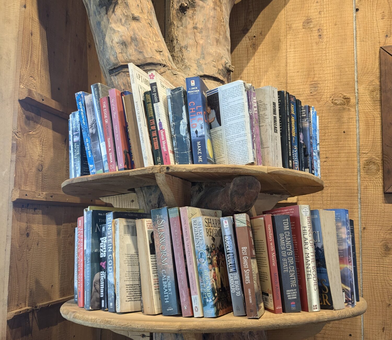 PXL 20250129 080138405