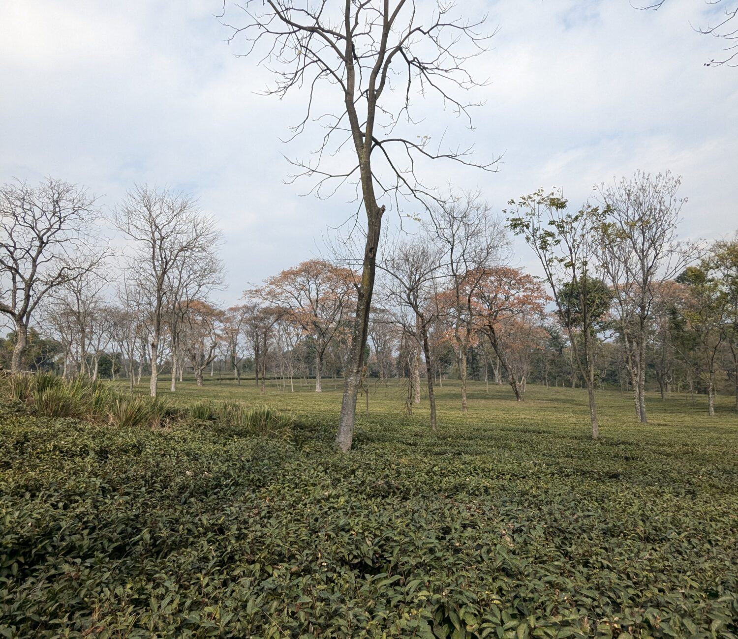 PXL 20250129 080346389