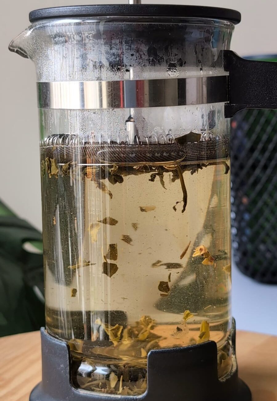 green tea in a french press